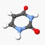 DNA - Uracil Nucleobase